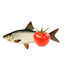 Риба в томаті